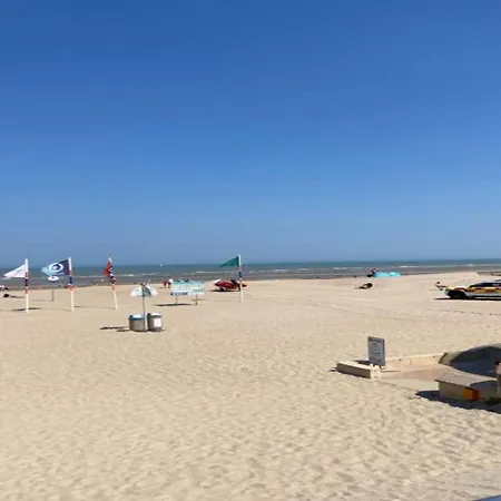 Near Dunes In Koksijde